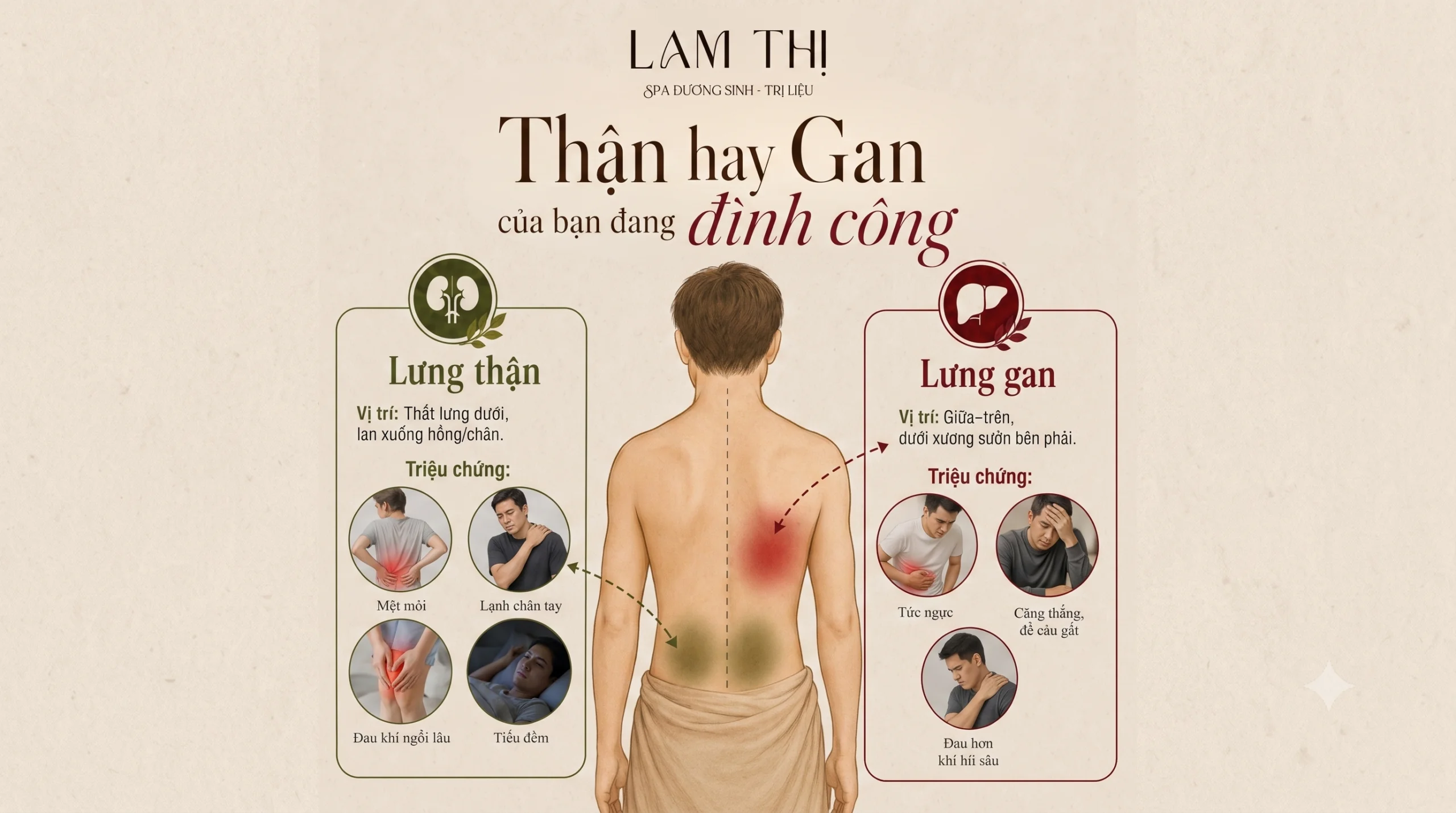 Đau lưng vùng thận hay gan theo góc nhìn Đông y